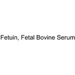 Fetuin (Fetal Bovine Serum)