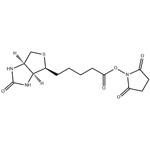 BIOTIN-NHS