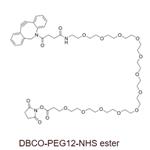 DBCO-PEG12-NHS ester