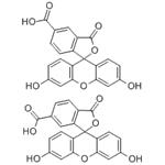 5(6)-Carboxyfluorescein