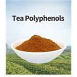tea Polyphenols