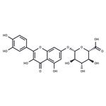 Quercetin 7-glucuronide