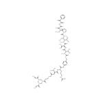 Py-MAA-Val-Cit-PAB-MMAE