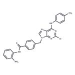HDAC1/2 and CDK2-IN-1