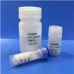 Liraglutide