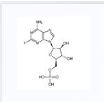 fludarabine phosphate