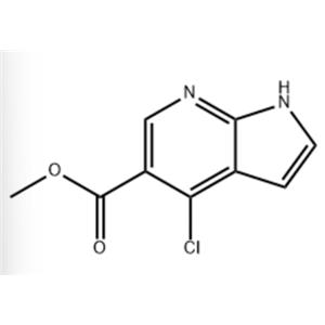 Methyl 4-chloro-1H-pyrrolo[2,3-b]pyridine-5-carboxylate