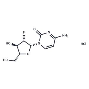 2'-Deoxy-2'-fluoro-β-D-arabinocytidine hydrochloride
