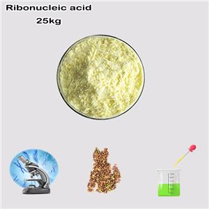 Ribonucleic acid