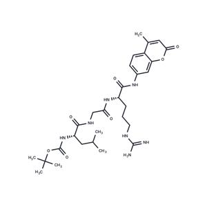 Boc-Leu-Gly-Arg-AMC