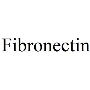 Fibronectin (recombinant human)