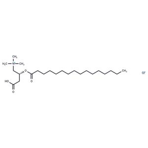 L-Palmitoylcarnitine chloride