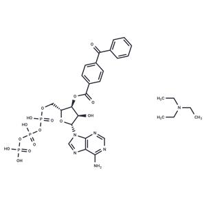 BzATP triethylammonium salt