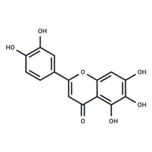 6-Hydroxyluteolin