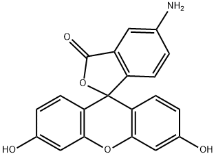 5-Aminofluorescein