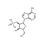 Adenosine-2'-monophosphate