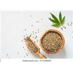 Hemp Seed  P.E.