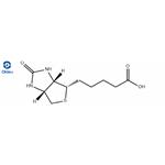 D-Biotin