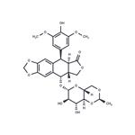 33419-42-0 Etoposide