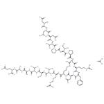 Calcineurin substrate acetate