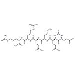 616204-22-9 Argireline