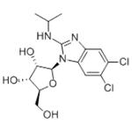 BENZIMIDAVIR