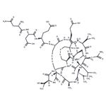 467426-54-6 Plecanatide