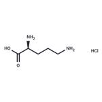 L-Ornithine hydrochloride