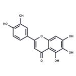 6-Hydroxyluteolin