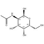 N-Acetyl-D-galactosamine