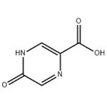 5-Hydroxypyrazine-2-carboxylic acid