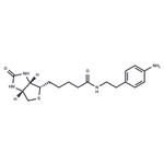 Biotin-aniline