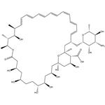 1397-89-3 Amphotericin B