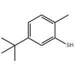 5-TERT-BUTYL-2-METHYLTHIOPHENOL