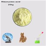Ribonucleic acid
