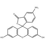 5-Aminofluorescein