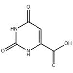 Orotic acid