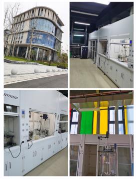 Article illustration