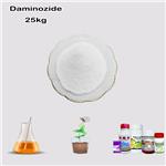 1596-84-5 Daminozide