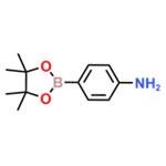 4-Aminophenylboronic acid pinacol ester