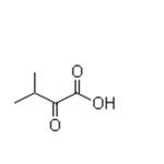 2-Oxo-3-methylbutanoic acid