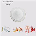 Gemfibrozil
