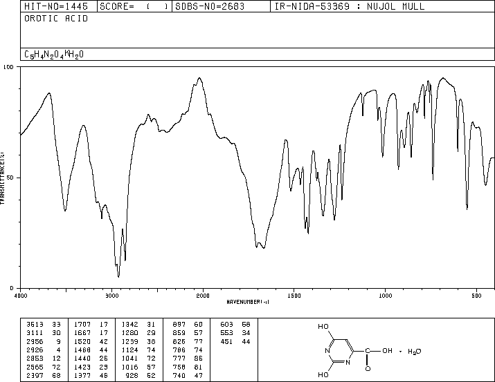 OROTIC ACID MONOHYDRATE(50887-69-9) IR2
