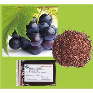 葡萄籽提取物（原花青素OPC）水溶性--厂家供应