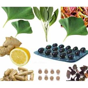 石杉碱甲,千层塔提取物,银杏叶提取物,植物提取物,中药材