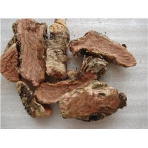 红景天提取物,番茄红素,杨梅素,白芍提取物,冷背药材,植物提取物,中药材,中药饮片