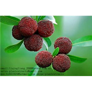 二氢杨梅素、杨梅树皮素、杨梅苷、杨梅黄酮、杨梅素