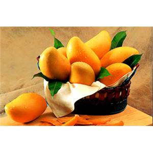 芒果甙Mangiferin