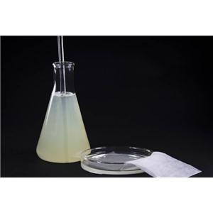 银系织物抗菌剂（NS-1J）