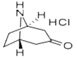去甲托品酮盐酸盐
